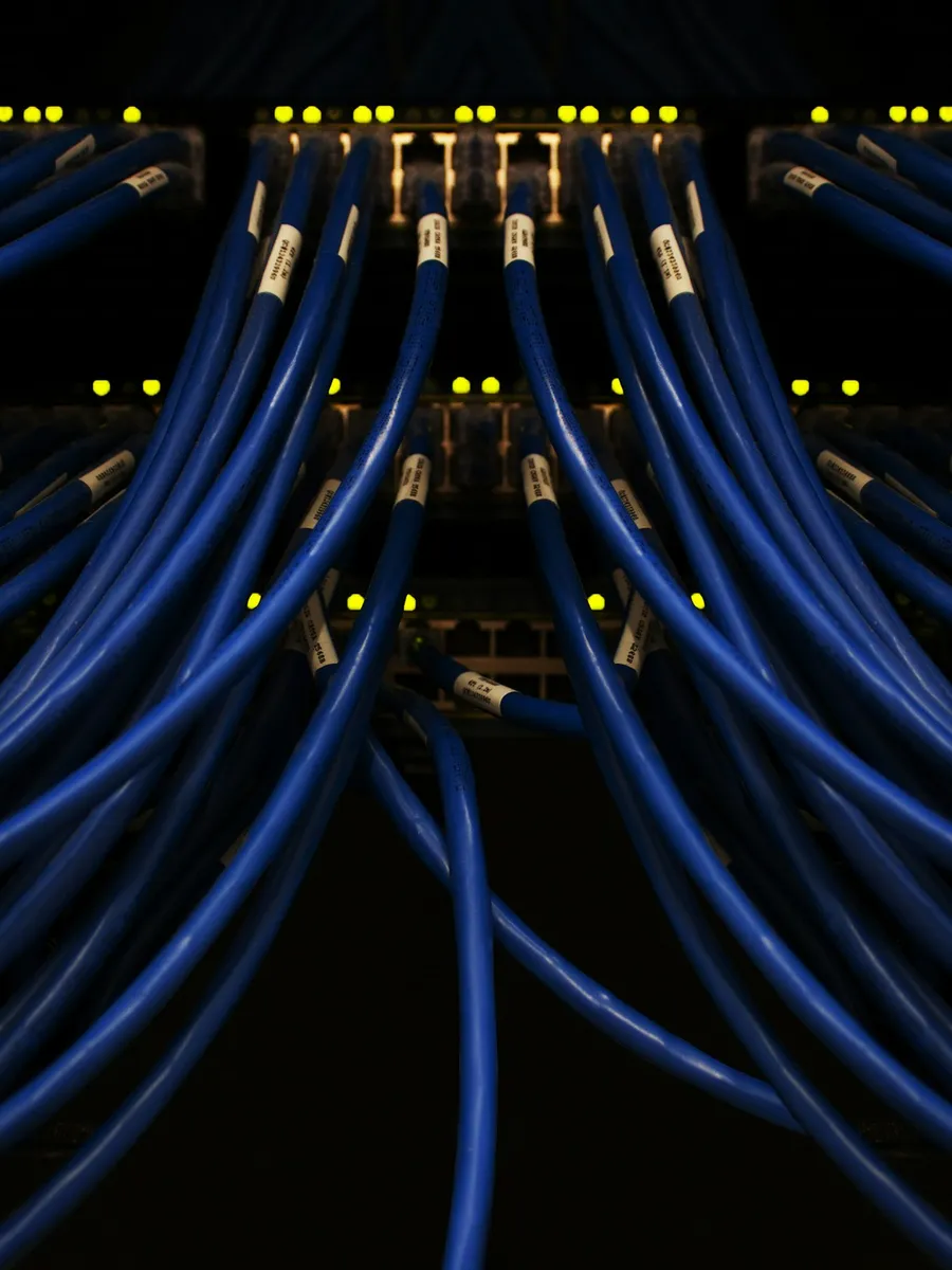 Network patch cables plugged into a rack